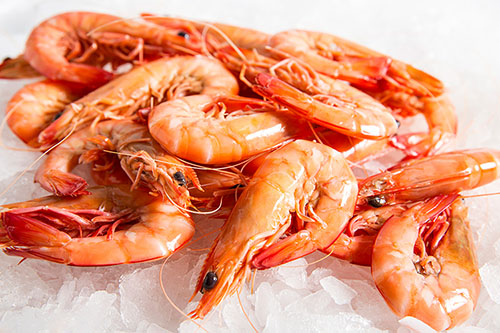 Fresh Prawns - Medium Size - Peeled & Deveined