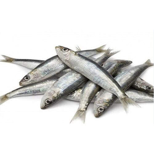 Chala/Chelwa Fish