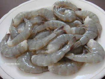 Medium Prawns - No Head (With Shell & Tail)