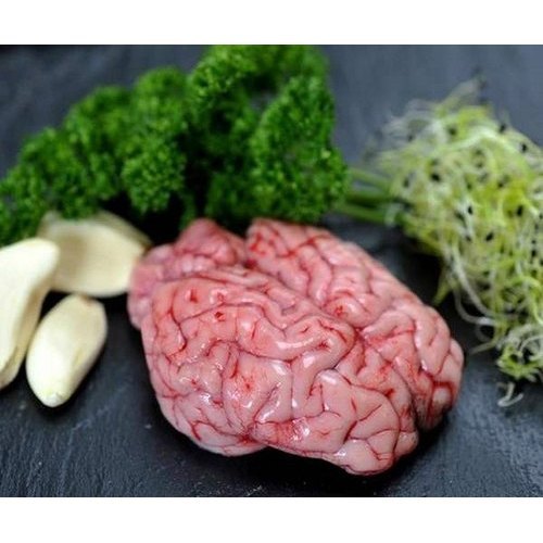 Fresh Mutton Brain 